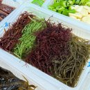 해초과메기양정점 이미지