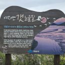 와온경로당 Daum카페