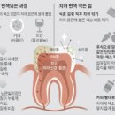 한미치과 이미지
