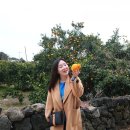 일송회수산