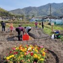 명화농장 이미지