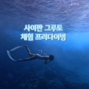 사이판 다이빙 여행 | 그루토 체험 프리다이빙 후기 (feat.히포 사이판 스캇쌤)