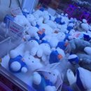 뽑기데이트 이미지