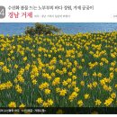 꽃길만걷자6 이미지