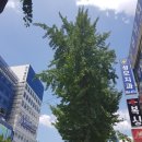 부천메디컬프라자 네이버블로그