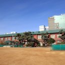 금재로 네이버블로그