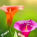 응석사 - 991 | 응석사