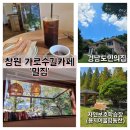 자연동산 | [창원]창원가로수길카페 밀집 후기 | 자연보호학습장(용지어울림동산)·경남도민의집 산책 후 밀집카페...