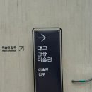 대구미술관 이미지