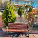 세인트폴어린이집 이미지