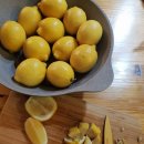 달달한레몬청 이미지