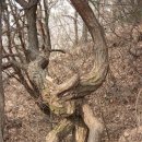 갑하산 이미지