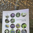 정선 아우라지둘레길 (2코스:아리바위길)트레킹(2025.9.21) 이미지