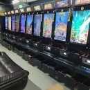 정선게임장 이미지