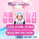 노블스위밍랩 네이버블로그