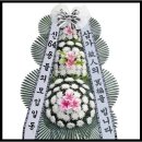 잔비어스 이미지