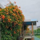 용답꽃공원 이미지