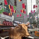 협진식당 | [서울/금천] 금천구 차돌육회쌈 맛집 "협진식당 5호집"