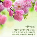 화요일 이미지
