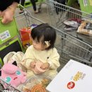 도서관 마당에서 가을 숲 캠핑 | 용인자연휴양림 야영데크 아기랑 가을 캠핑 예약 주차