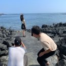 수애기