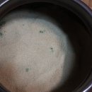 진생농장 이미지