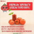 야채왕과일왕