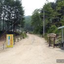 자작나무민박 이미지