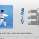 한국체대 태평양 태권도 이미지