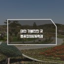 국내 5월 봄 여행지 꽃축제 태안 봄꽃정원 네이처월드