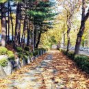 번영로길 네이버블로그