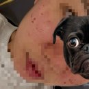 세종스노우의원 이미지