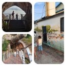 외양포해변 | 부산 가덕도 "대항항 포진지 동굴" 인생샷명소 ㆍ가덕도 당일치기 둘러보기 ~~