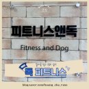 루비독 | 강아지 슬개골탈구 관리에 좋은 독 피트니스 1회차 후기