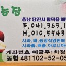 신흥농장 이미지