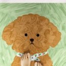 댕댕주방 이미지