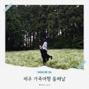 제주 2박 3일 가족여행 둘째날｜제주동문시장, 함덕해수욕장, 비밀의숲까지