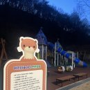 살미면사무소 | 유기농체험교육센터 브라키오사우르스 8인실 숙소 후기 (26.02.28 ~ 03.01) feat. 놀이터, 짚라인, 동물...