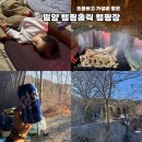 오토홀릭 | 밀양 캠핑장 추천 캠핑홀릭 숲 오토캠핑 캠핑장 카라반 장박 가성비 추천