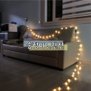 송정 미연 이미지