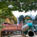 사랑샘유치원 이미지