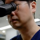 초록동물병원 네이버블로그