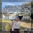 월평지 | 파주 대형 규모의 천연잔디, 평지 애견 운동장, 개카페 주말 방문 내돈내산 후기