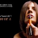 ST비타 이미지