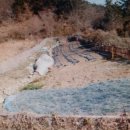 월항공인중개사사무소 이미지