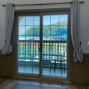 평생 사랑해 줄 개 애견펜션1 이미지