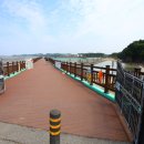 궁평리어촌체험휴양마을 | 화성 궁평항 바다 어촌체험휴양마을 물놀이장 , 경기도 아이들과 가볼만한곳