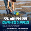 주말엔 이미지