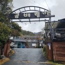 337숯불가든 이미지