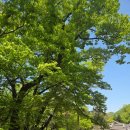옥산서원 | 아이와 함께가기 좋았던 경주 옥산서원 체험 후기